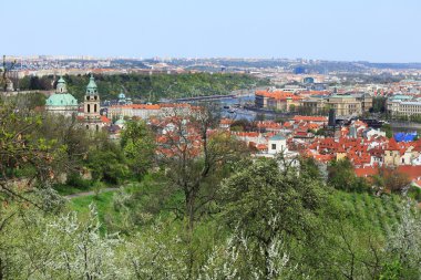 Bahar Prague City ile yeşil doğa, Çek Cumhuriyeti görüntüleyin