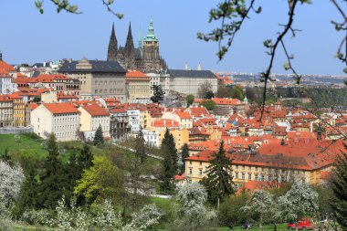 Bahar yeşil doğa ile Prag Gotik Kalesi görüntüleyin ve çiçekli ağaçlar, Çek Cumhuriyeti