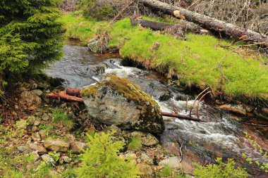 Güzel Wilderness, Güney çek dağlar Sumava dereye