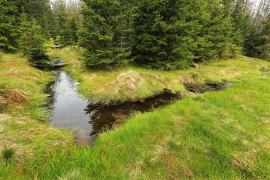 Güzel Wilderness, Güney çek dağlar Sumava dereye