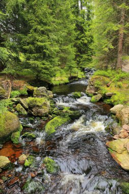 Güzel Wilderness, Güney çek dağlar Sumava dereye