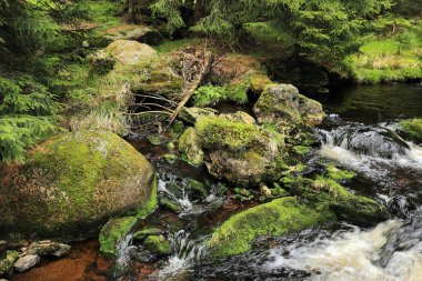 Güzel Wilderness, Güney çek dağlar Sumava dereye