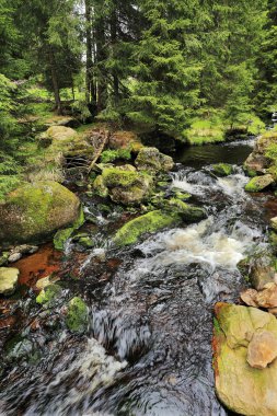 Güzel Wilderness, Güney çek dağlar Sumava dereye