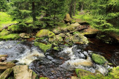 Güzel Wilderness, Güney çek dağlar Sumava dereye