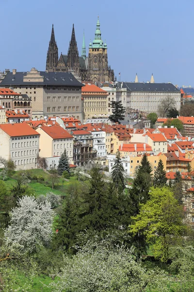 Zobrazit na jaře Praze gotický hrad s zelené přírody a kvetoucí stromy, Česká republika — Stock fotografie