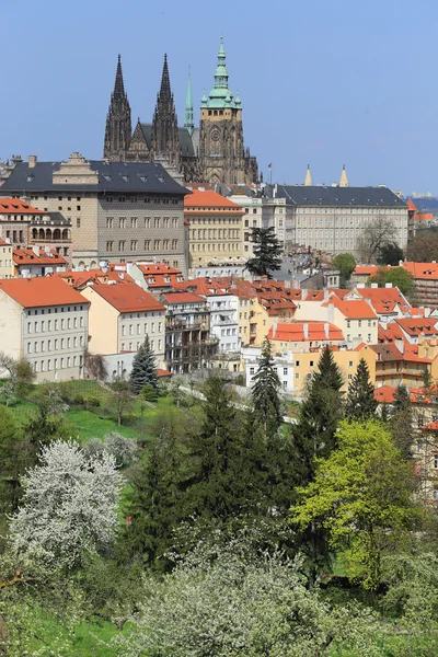 Vista sobre a primavera Castelo gótico de Praga com verde Natureza e árvores floridas, República Checa — Fotografia de Stock