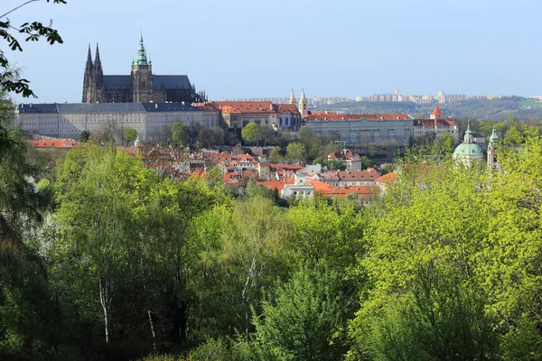 Δες στο γοτθικό κάστρο της Πράγας με το πράσινο της φύσης την άνοιξη και τα ανθίζοντας δέντρα, Τσεχία — Φωτογραφία Αρχείου