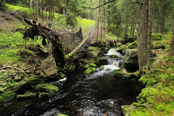 Il torrente nel bellissimo deserto, le montagne Sumava nel sud della Repubblica Ceca — Foto Stock