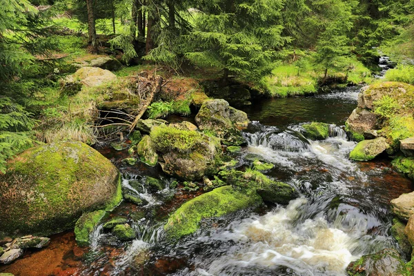 Il torrente nel bellissimo deserto, le montagne Sumava nel sud della Repubblica Ceca — Foto Stock