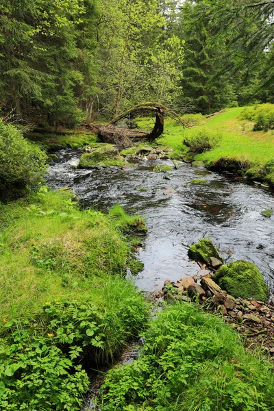 Potok v krásné divočině, hory Šumava v jižním České — Stock fotografie