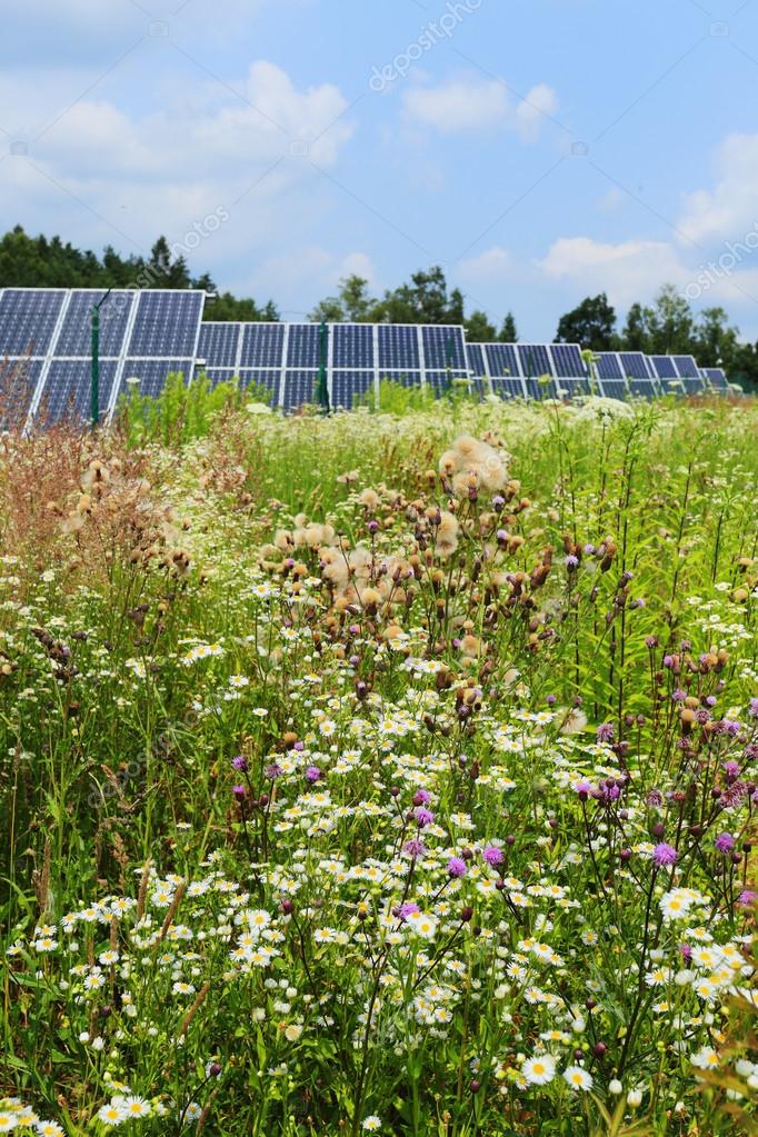Detail Of Solar Power Station On The Green Meadow Stock Photo