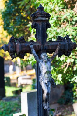 Çek Cumhuriyeti 'ndeki eski Prag Mezarlığı' nın Sonbahar Gizemi Üzerine Tarihi Heykel 