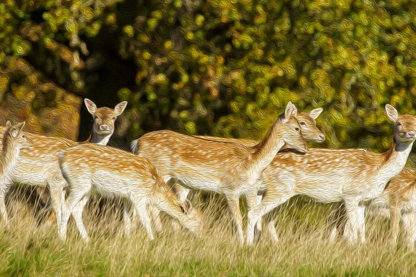 Beyaz benekli geyik, Studley Royal Ripon North Yorkshire UK - Dijital Suluboya Efekti.