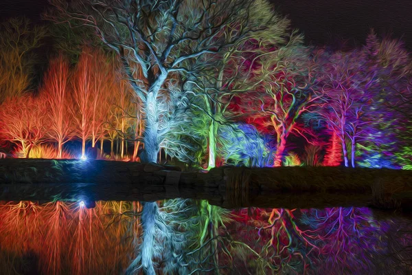 Noci Živé Barvy Osvětlených Stromů Odrážejí Hladině Jezera Harrogate North Royalty Free Stock Fotografie