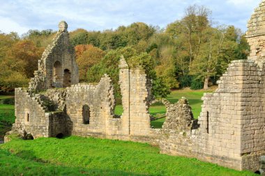 Fountains Abbey ve arka planında Ripon, Studley Royal, North Yorkshire, İngiltere, İngiltere 'de bir orman bulunan bakımevinin ortaçağ kalıntıları..