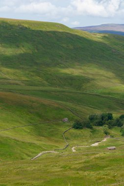 Dik tepeler, Nidderdale, Kuzey Yorkshire, İngiltere, İngiltere ve İngiltere ile çevrili, ağaçlarla çevrili derin bir vadi ve ön planda küçük bir çiftlik binası var..
