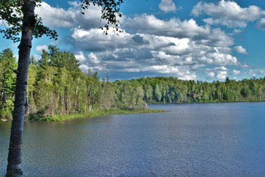 Michigan Gölü 'nün yukarısındaki güzel bir orman adasının manzarası.