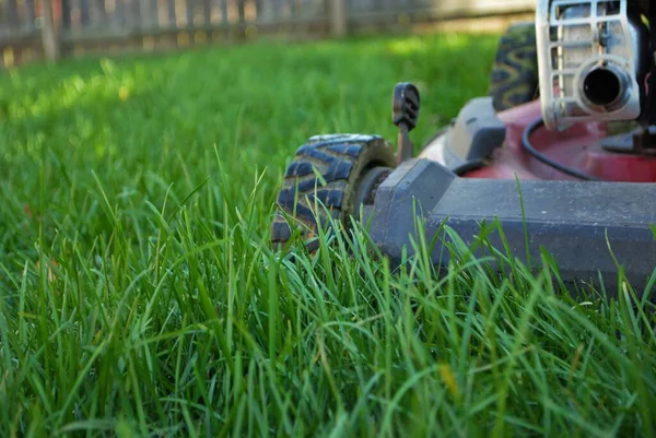 Blick Vom Boden Auf Einen Rasenmäher Hohen Gras — Stockfoto