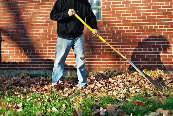 Homem Caucasiano Com Grande Marrom Afro Raking Folhas Outono — Fotografia de Stock