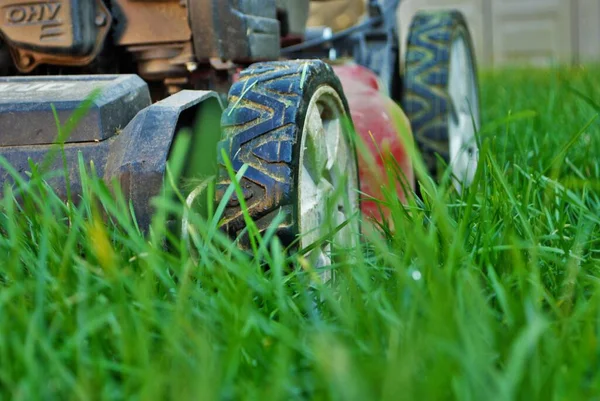 Vue Niveau Sol Une Tondeuse Gazon Dans Herbe Haute — Photo