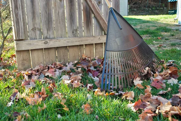 Pile Feuilles Râteau Appuyé Sur Une Clôture Tomber Fond — Photo