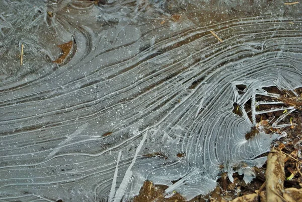 Winterszene Eines Eisbedeckten Waldes Nahaufnahme Detail — Stockfoto