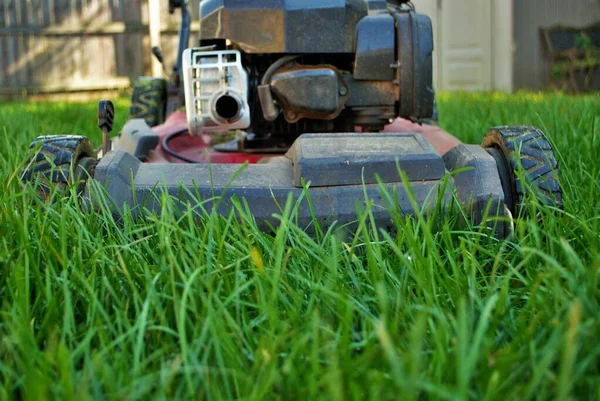 Vue Niveau Sol Une Tondeuse Gazon Dans Herbe Haute — Photo