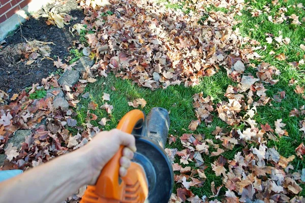 Punto Vista Una Persona Que Usa Soplador Hojas Otoño —  Fotos de Stock