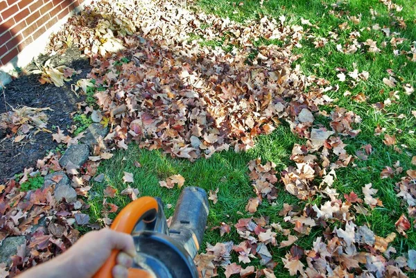 Ponto Vista Uma Pessoa Usando Soprador Folhas Outono — Fotografia de Stock