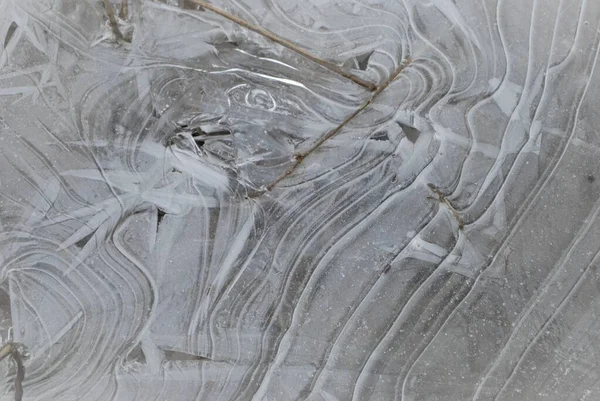 Winterszene Eines Eisbedeckten Waldes Nahaufnahme Detail — Stockfoto