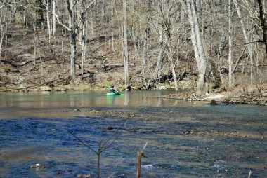 Baharda küçük Miami nehrinde kayak yapan adam Ohio 'daki sarı yayların yanında.