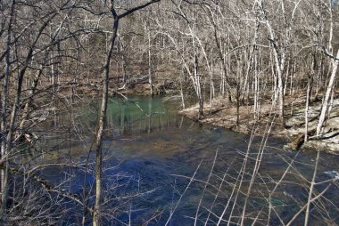 Baharda küçük Miami nehri, Ohio 'daki sarı pınarların yanında.