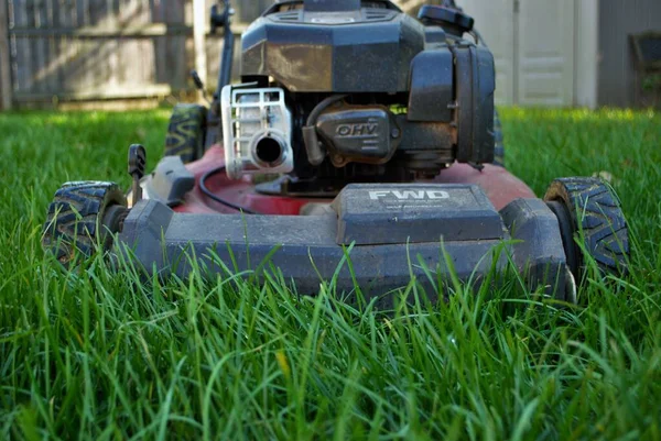 Uzun otların arasındaki çim biçme makinesinin zemin katı manzarası