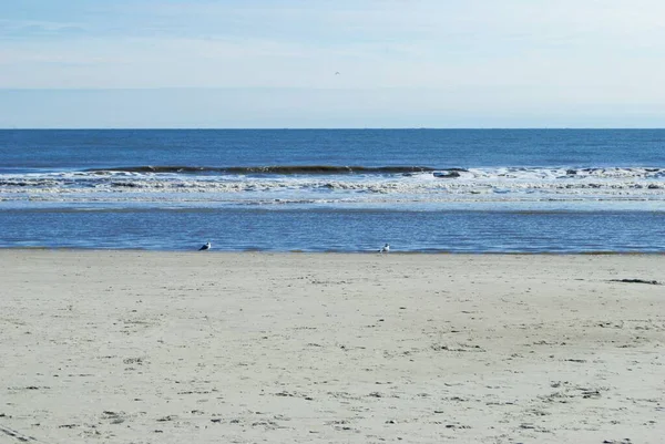 Vlny Narážející Písku Pláži Coligny Hilton Head Island South Carolina Stock Fotografie