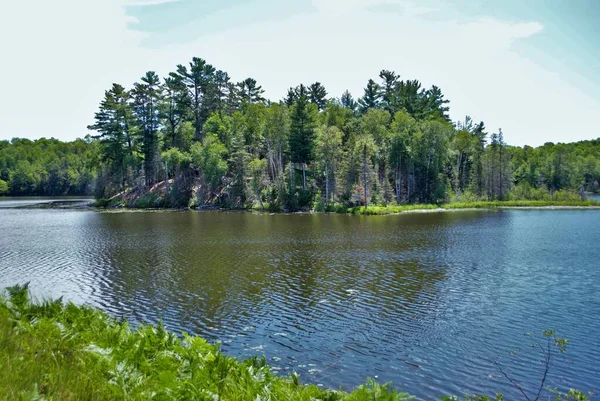 Fondo Paisajístico Una Hermosa Isla Forestal Medio Lago Península Superior —  Fotos de Stock