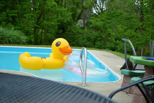 Canard Jaune Gonflable Flottant Dans Une Piscine Arrière Cour — Photo