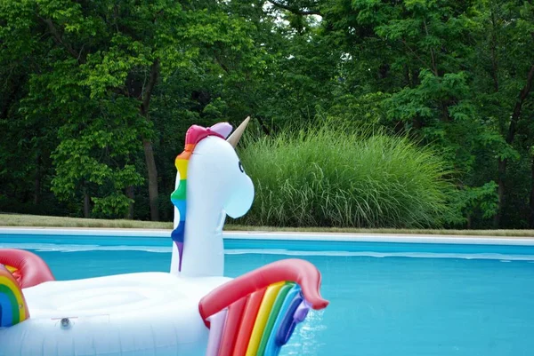 Unicornio Inflable Flotando Una Piscina Del Patio Trasero — Foto de Stock