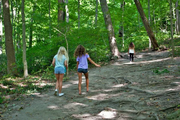 Três Meninas Fazendo Uma Caminhada Pela Floresta Fotografia De Stock