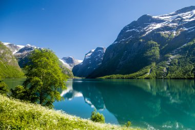 buzul Briksdalsbreen Norveç'te