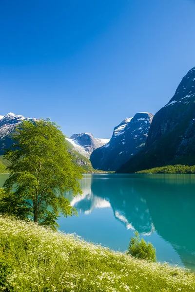 Gletsjer Briksdalsbreen in Noorwegen — Stockfoto