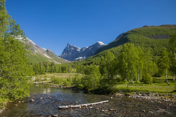 Landschap in Noorwegen — Stockfoto