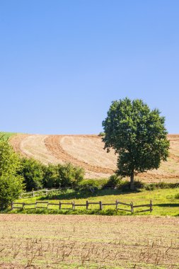 Kobern-Gondorf, romantik Rheinland Pfalz köyde