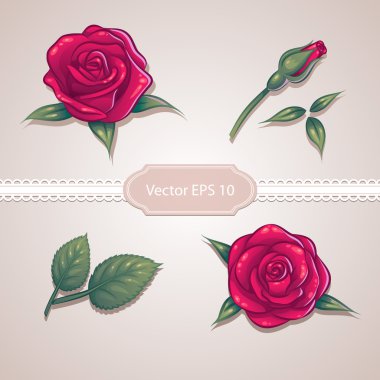 Yeşil yaprak, vektör gül illüstrasyon kümesiyle güzel çiçek kırmızı gül