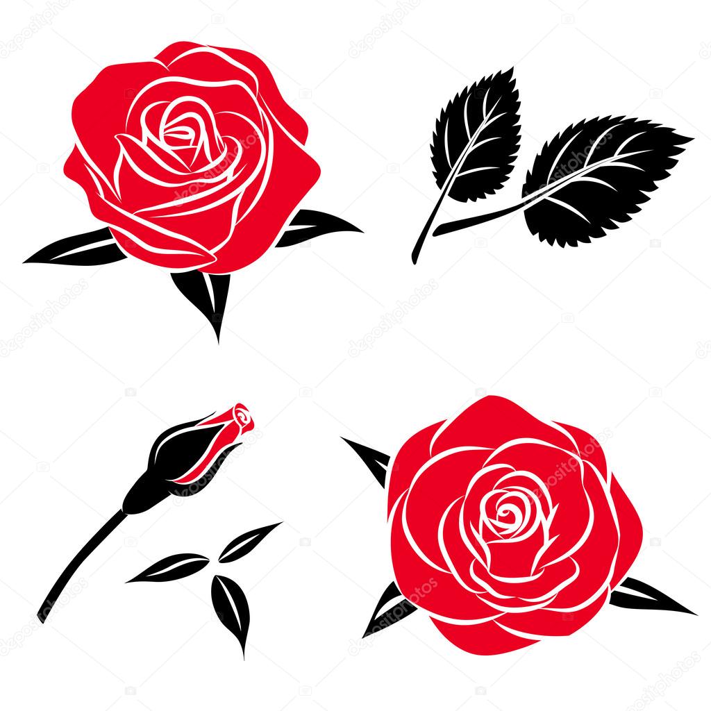 Beautiful flower red black rose set with leaf, Vector roses illustration , isolated on white