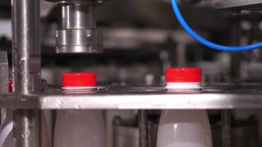 Taşıma makinesinde süt ürünleriyle dolu plastik şişelerin kapakları.