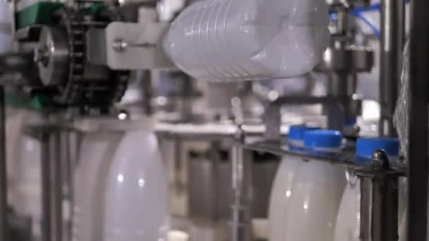 Przenośnik produkcji butelek z mlekiem poruszających się i obracających się wzdłuż linii. — Wideo stockowe