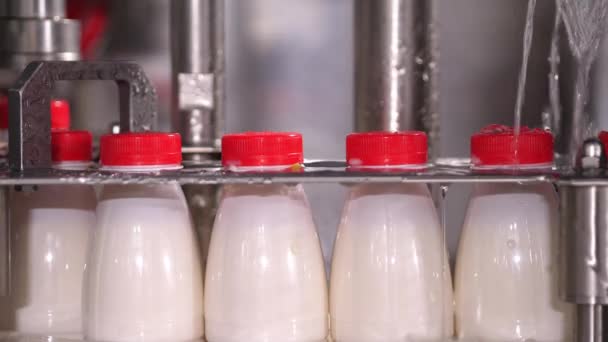 Produção transportadora de garrafas de leite que se deslocam ao longo da linha. — Vídeo de Stock