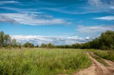 Bir alan yeşil çim ile yolda