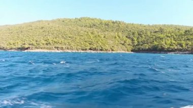 Yalı ile Türkiye'de temiz mavi su