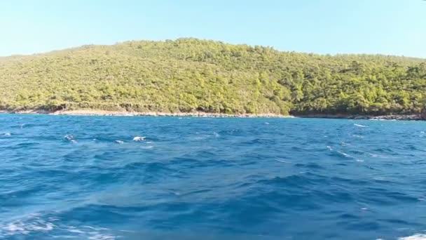 Meeresküste in der Türkei mit klarem, blauem Wasser — Stockvideo